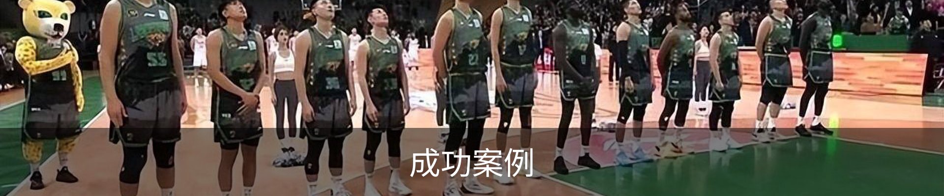 成功案例